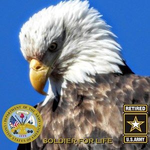 Meet your Posher, Dutch